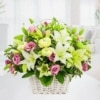 Cesta con Lilium