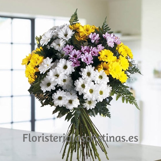 Ramo de margaritas