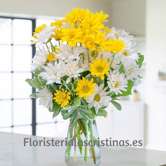 Ramo de margaritas